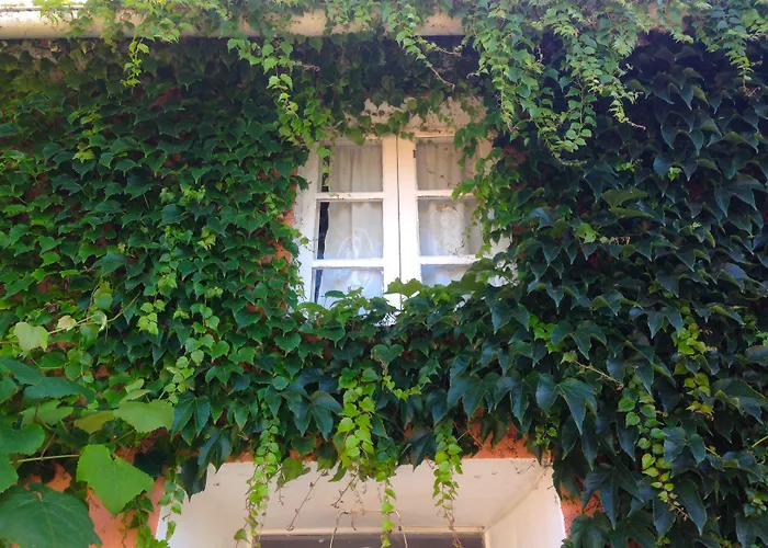 Casa Lourido