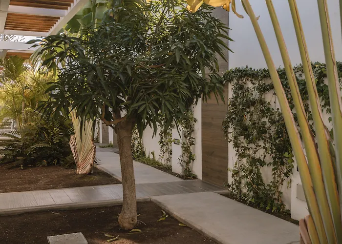 Silvi Villas By Tam Resorts Playa del Inglés