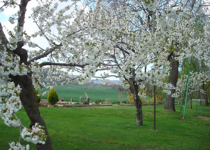 La Riera Bed & Breakfast Vic