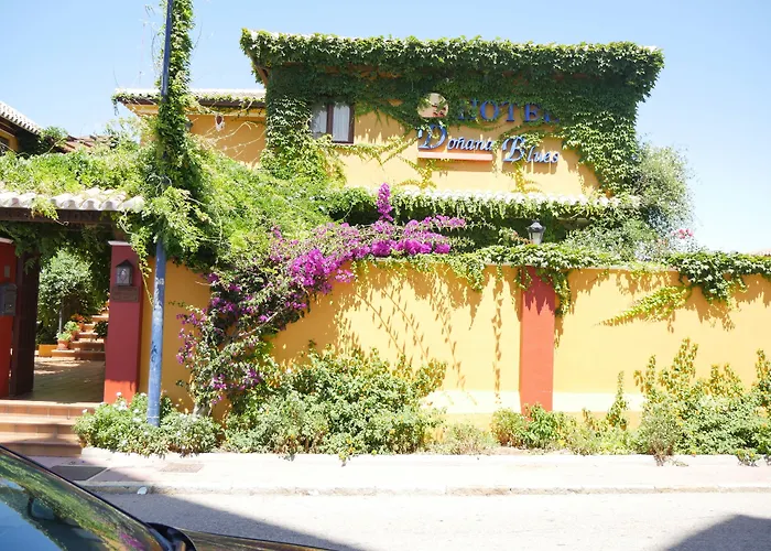 Hotel Doñana Blues Matalascañas