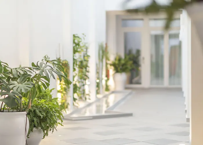 Alzocaire Hostal Boutique Conil De La Frontera