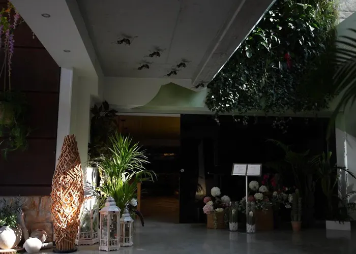 Hotel Cuevas - Adults Only