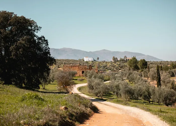 Las Calmas Boutique &retreats