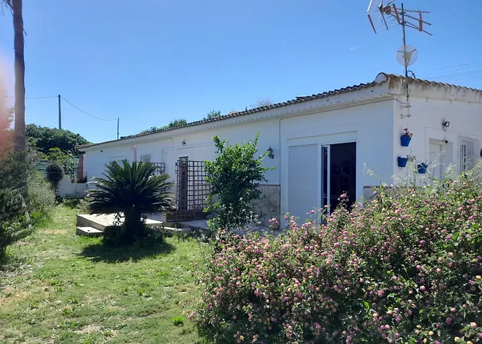 La Rana Azul