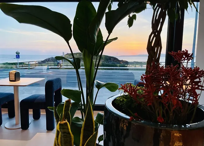 Hotel Delfin Azul