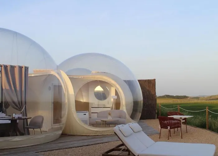 Wine Bubble