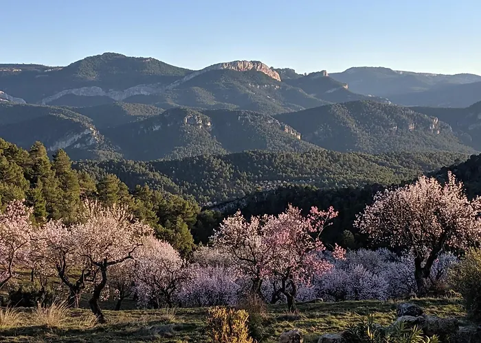 Hotel Mas de la Serra