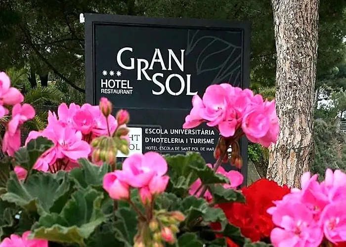 Gran Sol