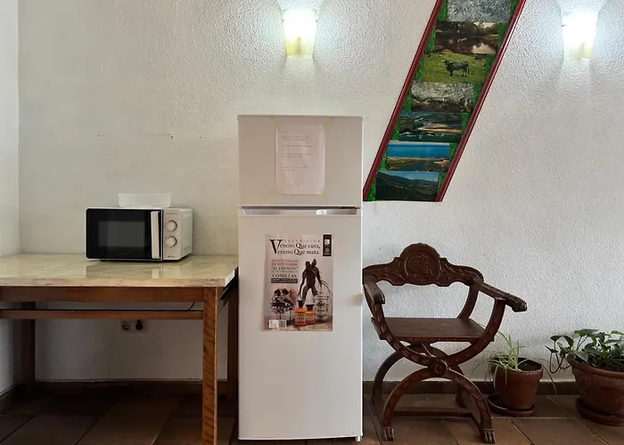 Hotel Viar