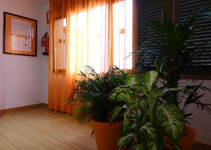 Hotel Andrea'S Los Cristianos 