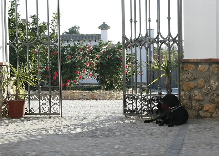 Bed and Breakfast El Fogon Del Duende Arcos de la Frontera