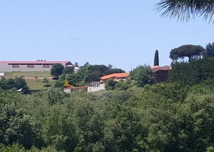 Hotel Casa Felisa Marcelle