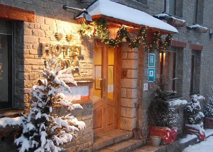 Hotel Roya Espot
