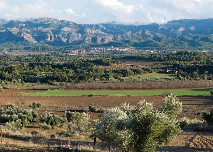 Hostal Can Barrina Arnes