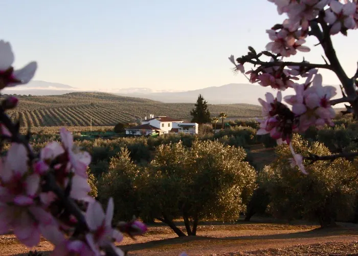 Casa Olivar